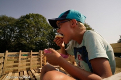 2018-dag3-246