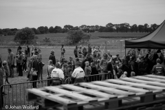 DSC9172-5